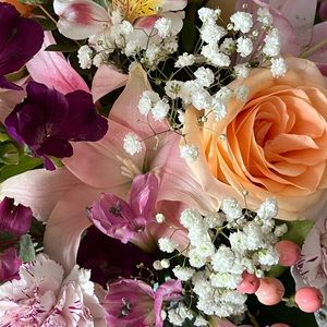 Meet your Posher, Reg